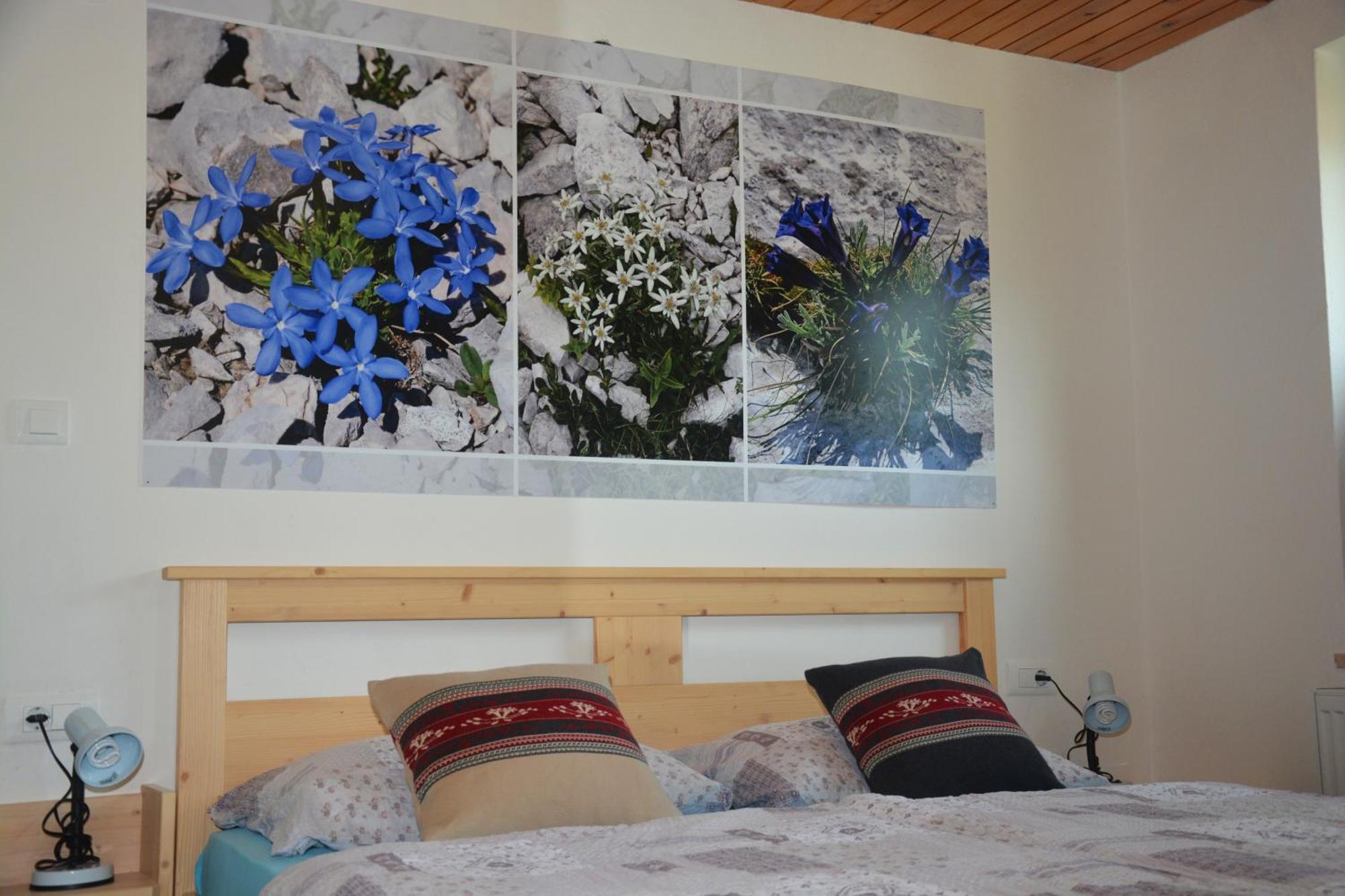 Apartments Arh Bohinj ภายนอก รูปภาพ