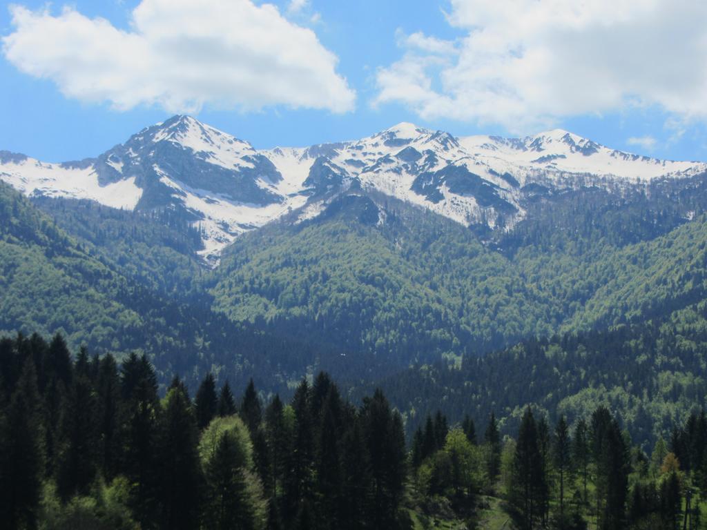 Apartments Arh Bohinj ภายนอก รูปภาพ