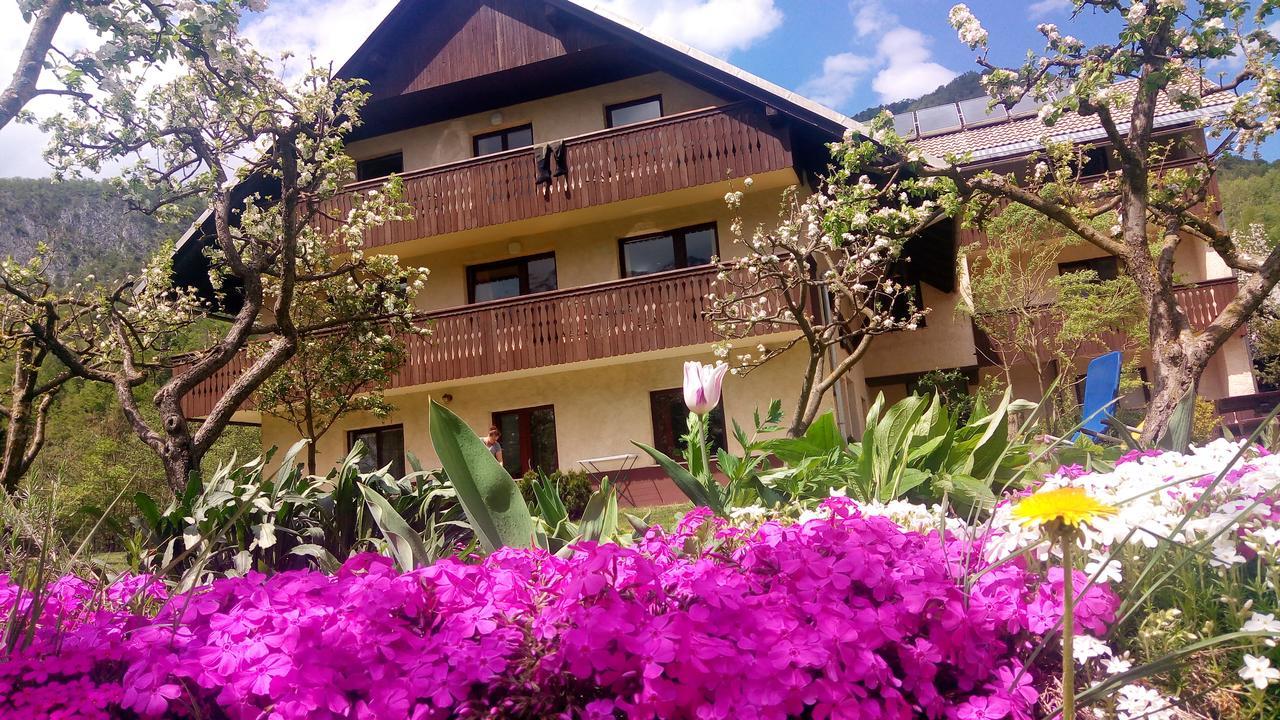 Apartments Arh Bohinj ภายนอก รูปภาพ